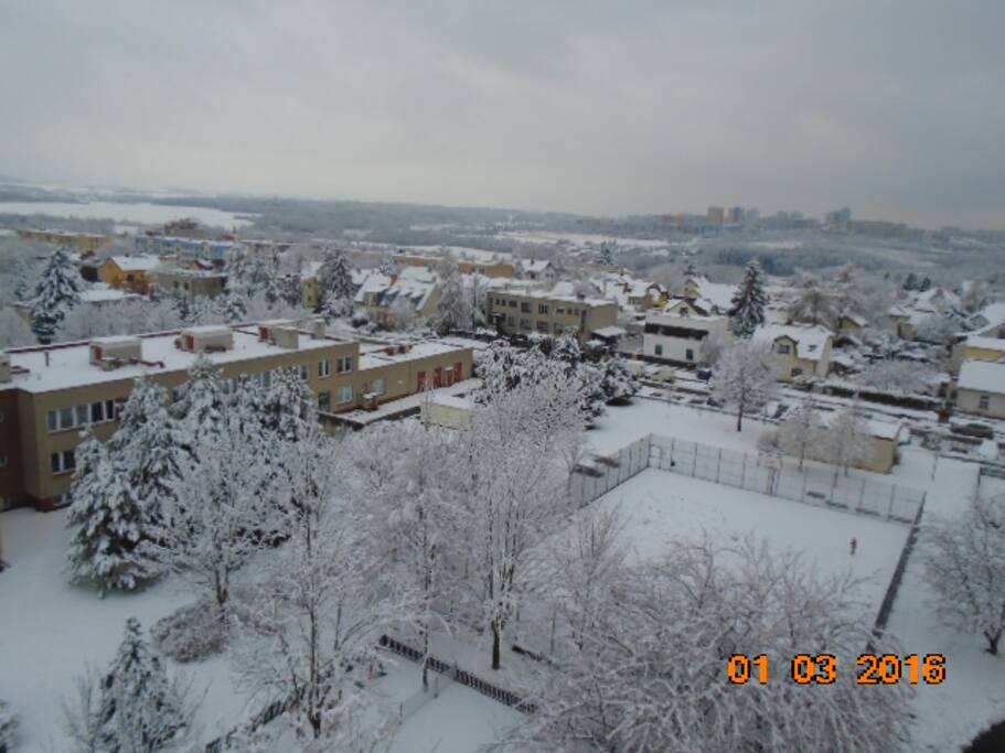 winter view