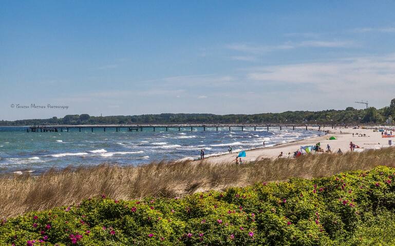 Ferienwohnung ''Strandläufer''