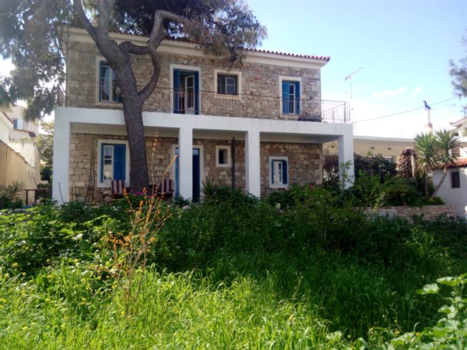 The house