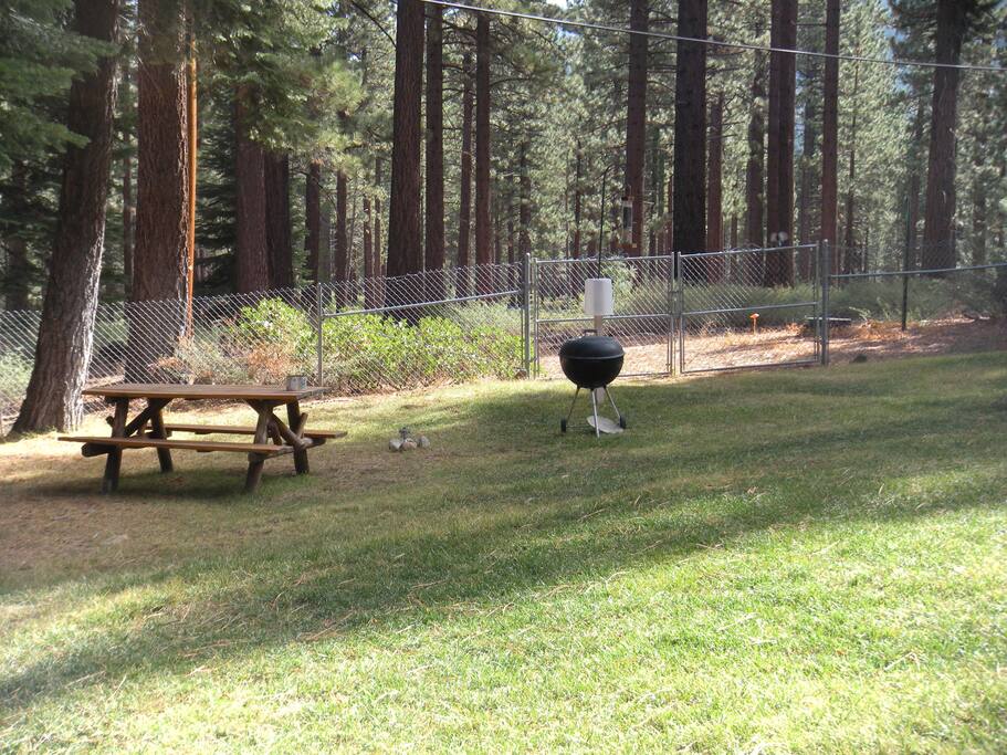 Private Back Yard with Grill and Picnic Table