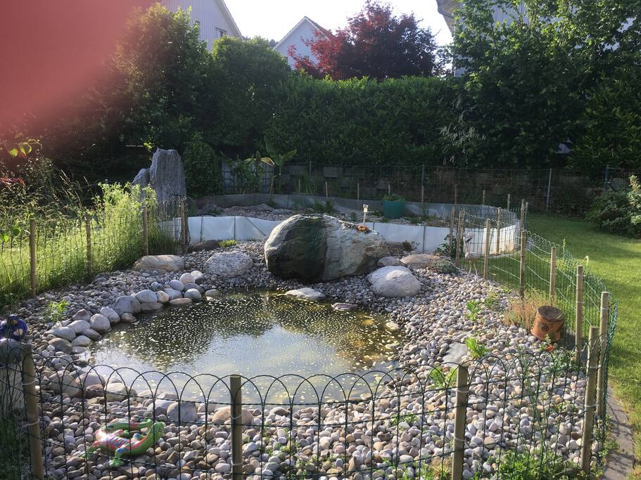 Schildkrötenteich