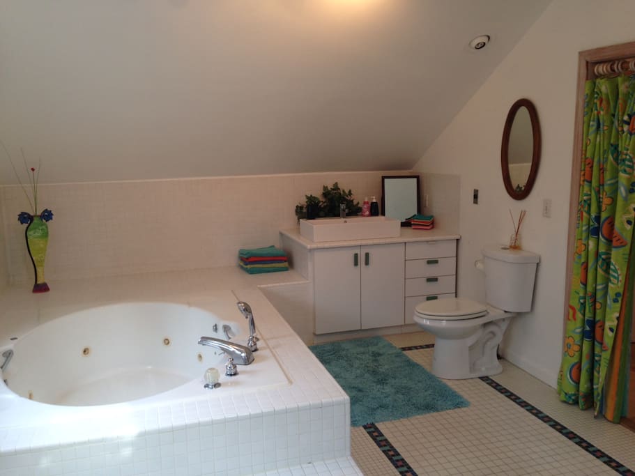 exlg bathroom. one side bathing the other kitchenette .