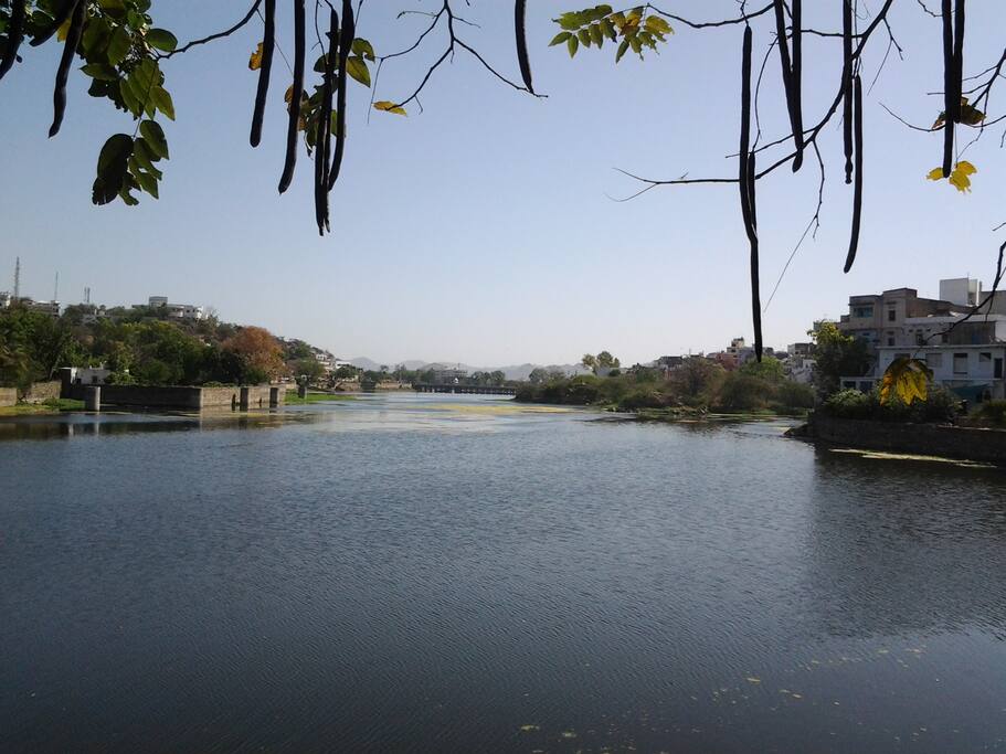 Lake View