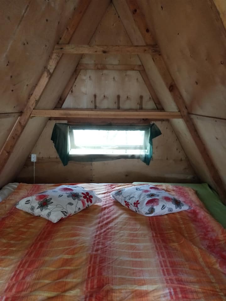 Camping 2