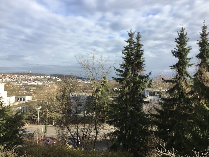 10 Best Airbnb Vacation Rentals In Pforzheim, Germany Updated 2024