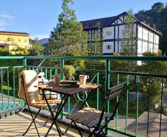 The Colour of Cameron || 风中奇缘