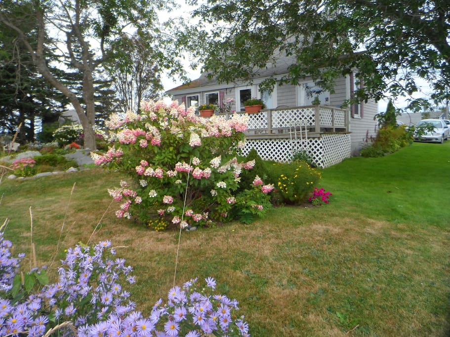Looking up at the house from shore.