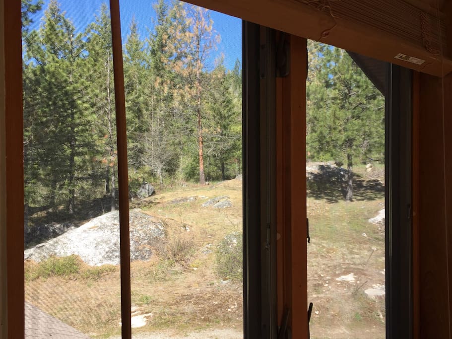 View out of one of the bedroom windows.