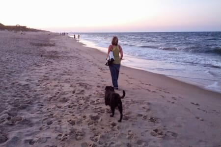 Jill's Place/Woods/Beaches/Pets Ok/No hidden fees.