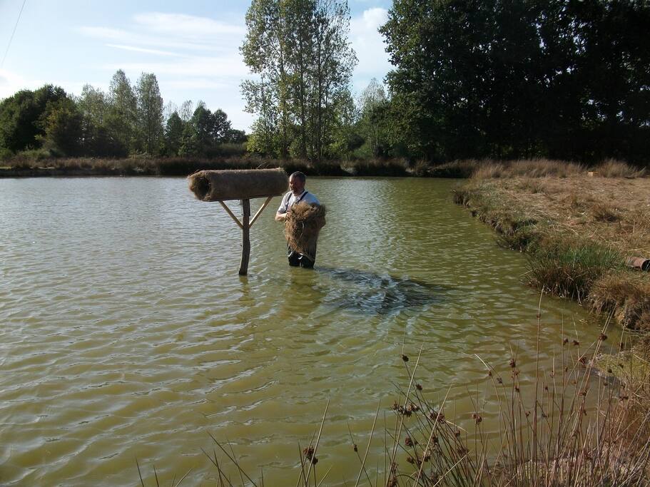 Tube pour Canards