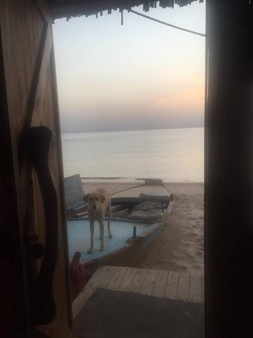 view of the sea as you open the door