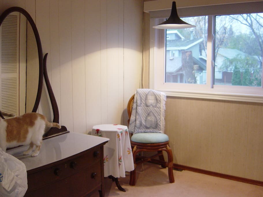 dresser and window