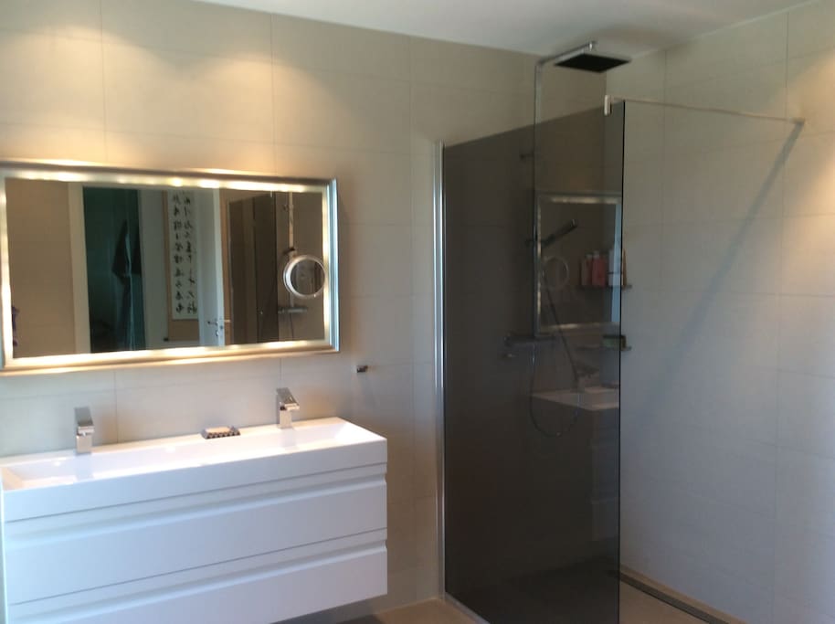 Master bathroom with two showers