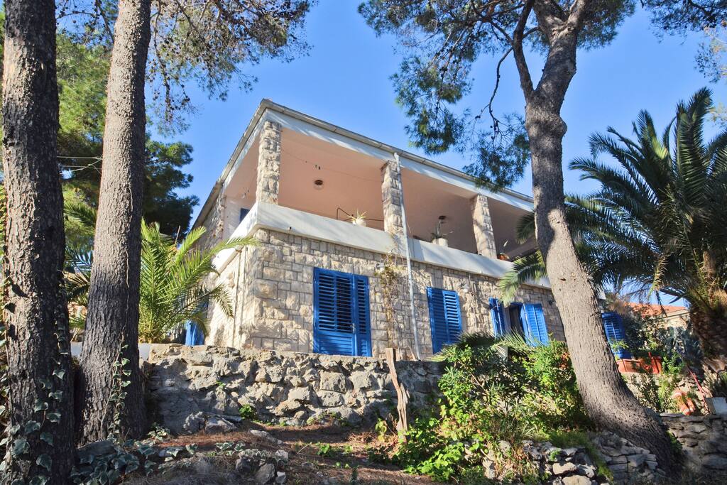 Vila Tri Palme overlooking the garden and the sea