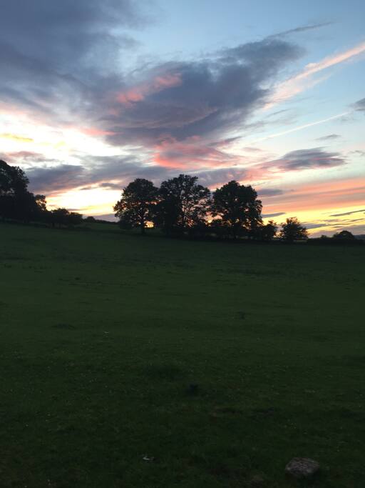 View from front door