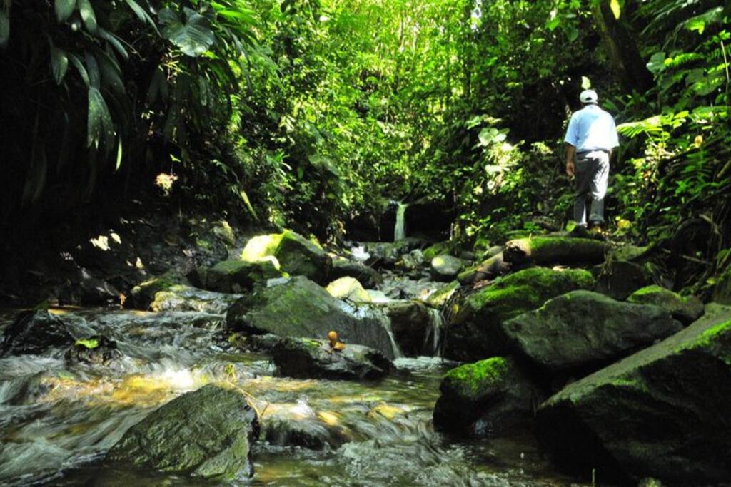 SENDERO BARCINAL