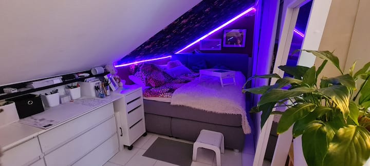 منطقة غرفة النوم