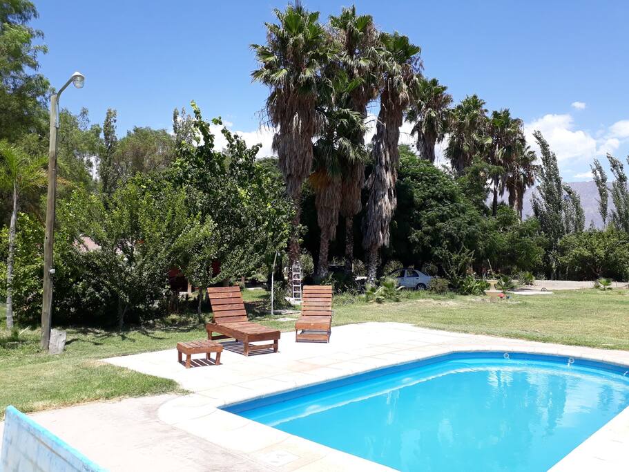 Pileta Solarium y espacios verdes