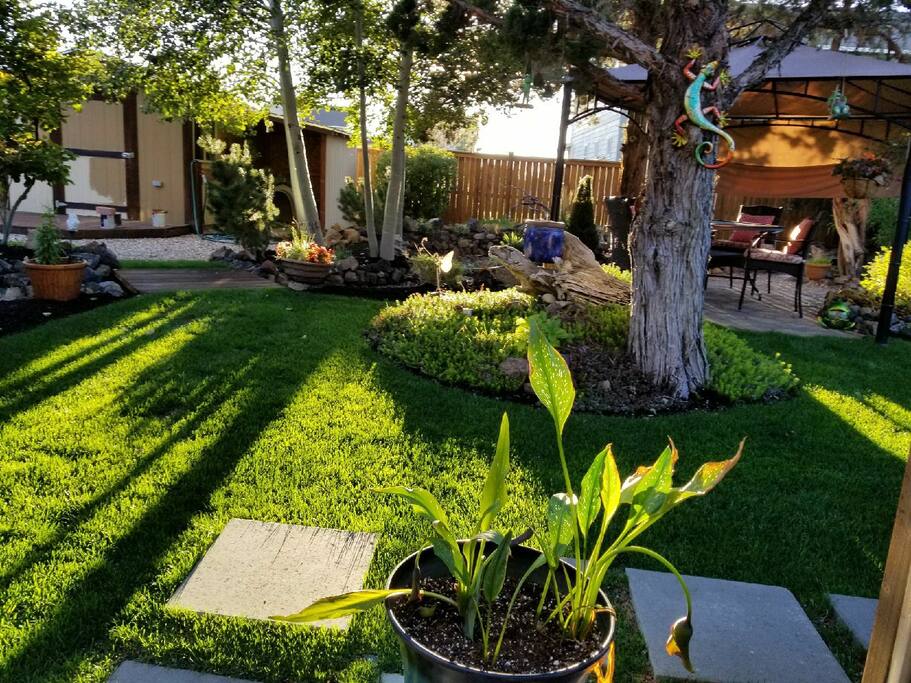 Vibrant outdoor space