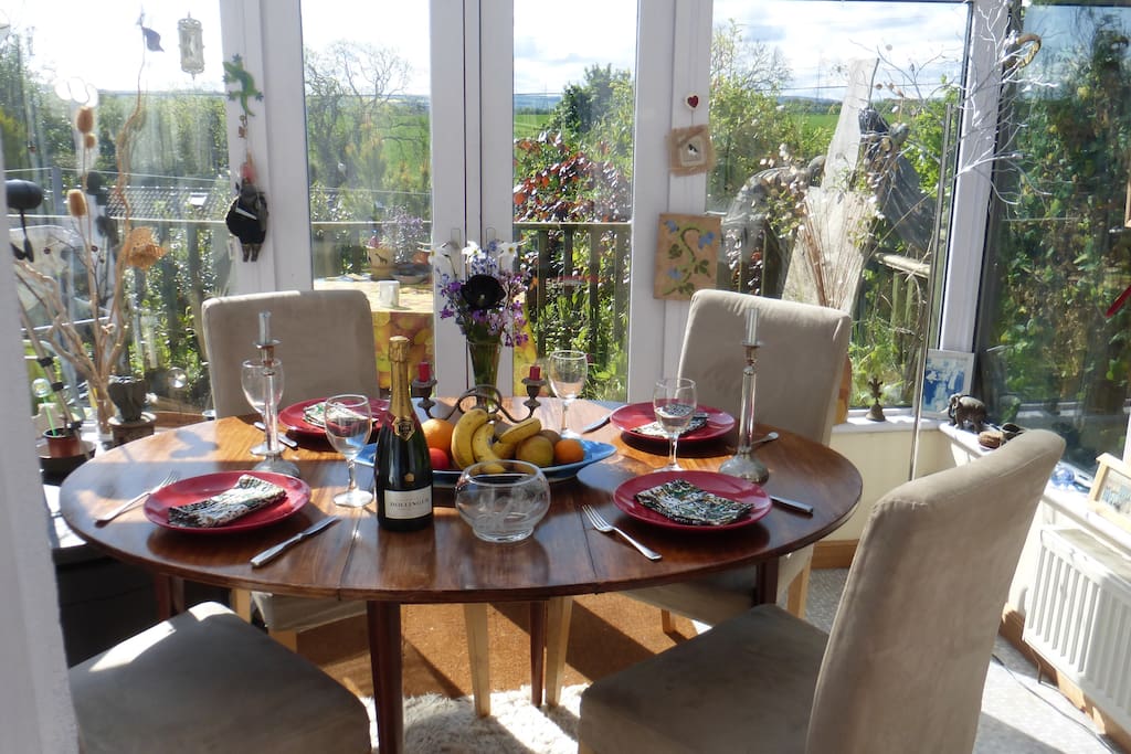 sunny dining