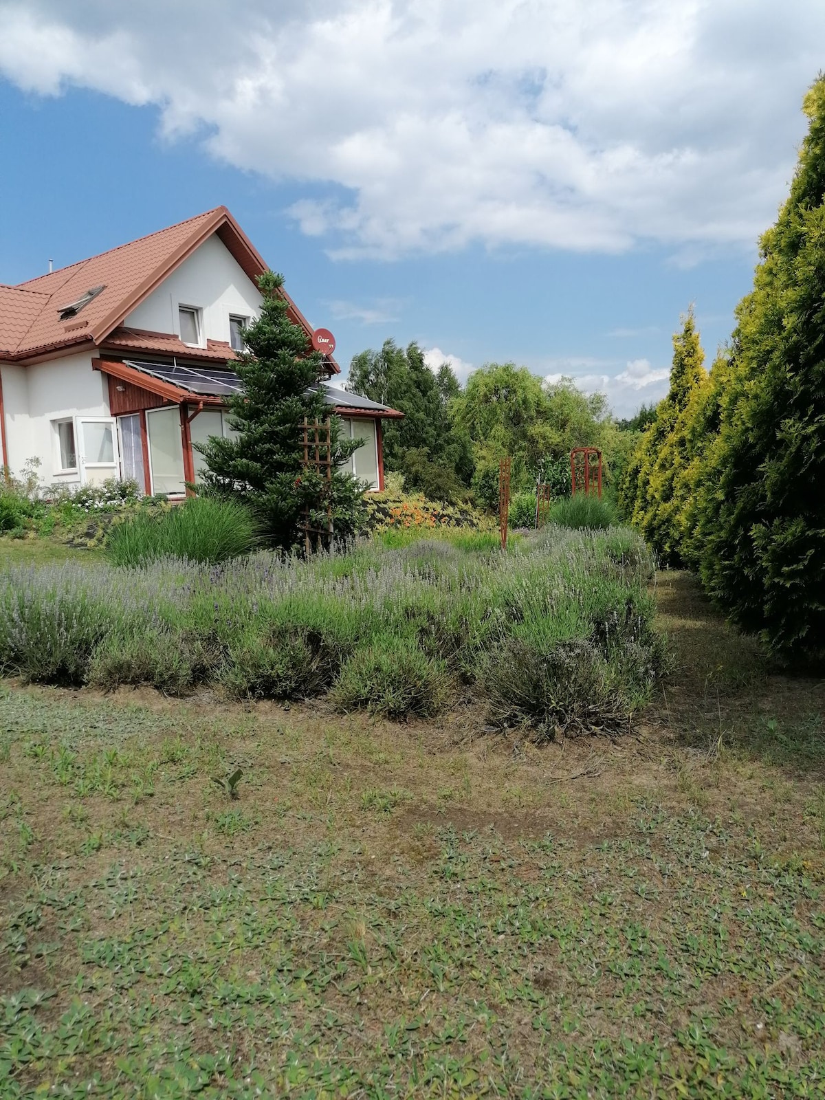 A charming garden is showcased with lush green grass and aromatic lavender plants in the foreground. The house features a red-tiled roof and large windows, while tall evergreen trees line the side, contributing to the serene atmosphere.