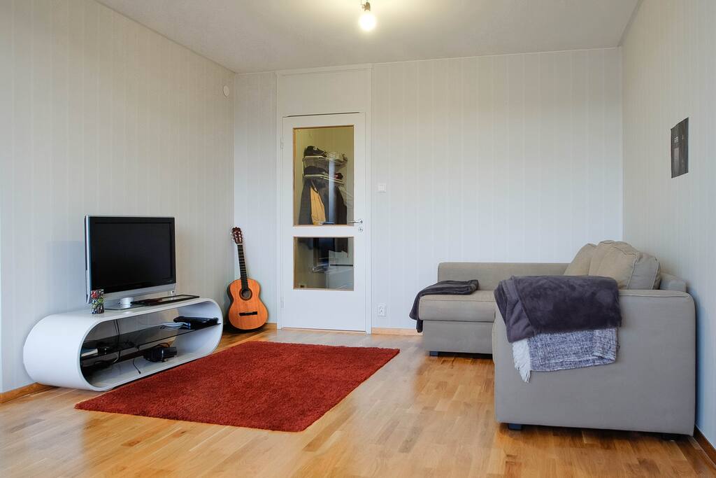 The living room (shared space)
