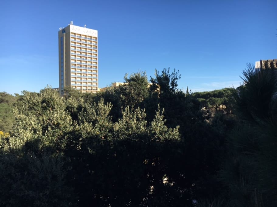 Vistas desde Apartamento / Views from Apartment 2