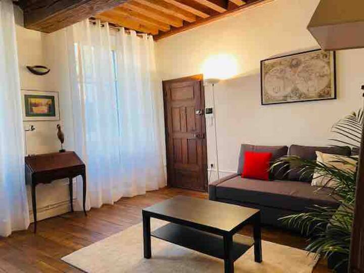 Charming apartment in the heart of Dijon! Apartments for Rent in