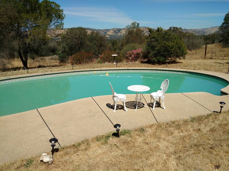Pool and tea table.