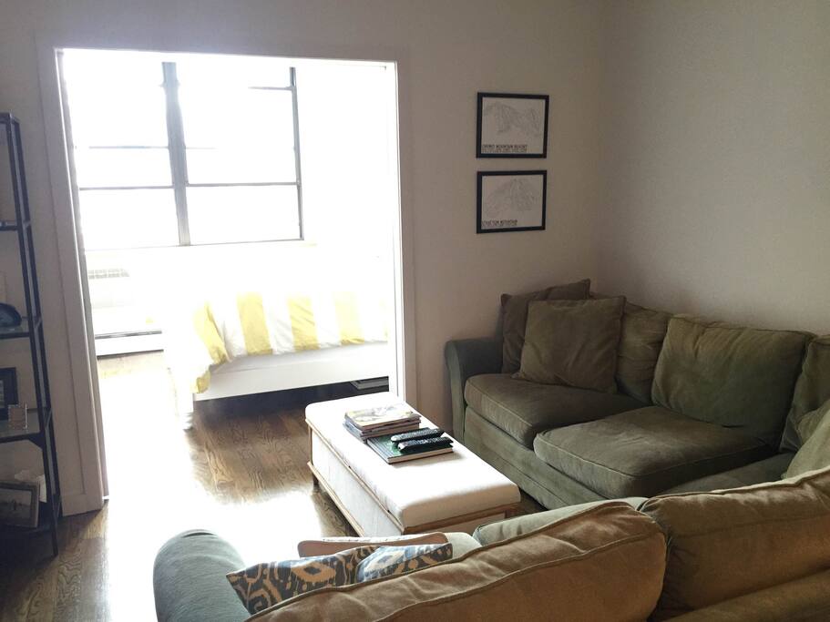 Spacious living room with full bedroom. Sliding doors separate the living and bedroom.