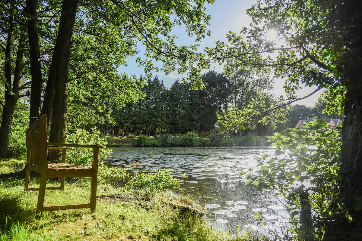 A wooden bench is positioned near a serene pond surrounded by lush greenery. Sunlight filters through the trees, casting dappled shadows on the water's surface, which is adorned with lily pads. The tranquil setting emphasizes the natural beauty of the environment.