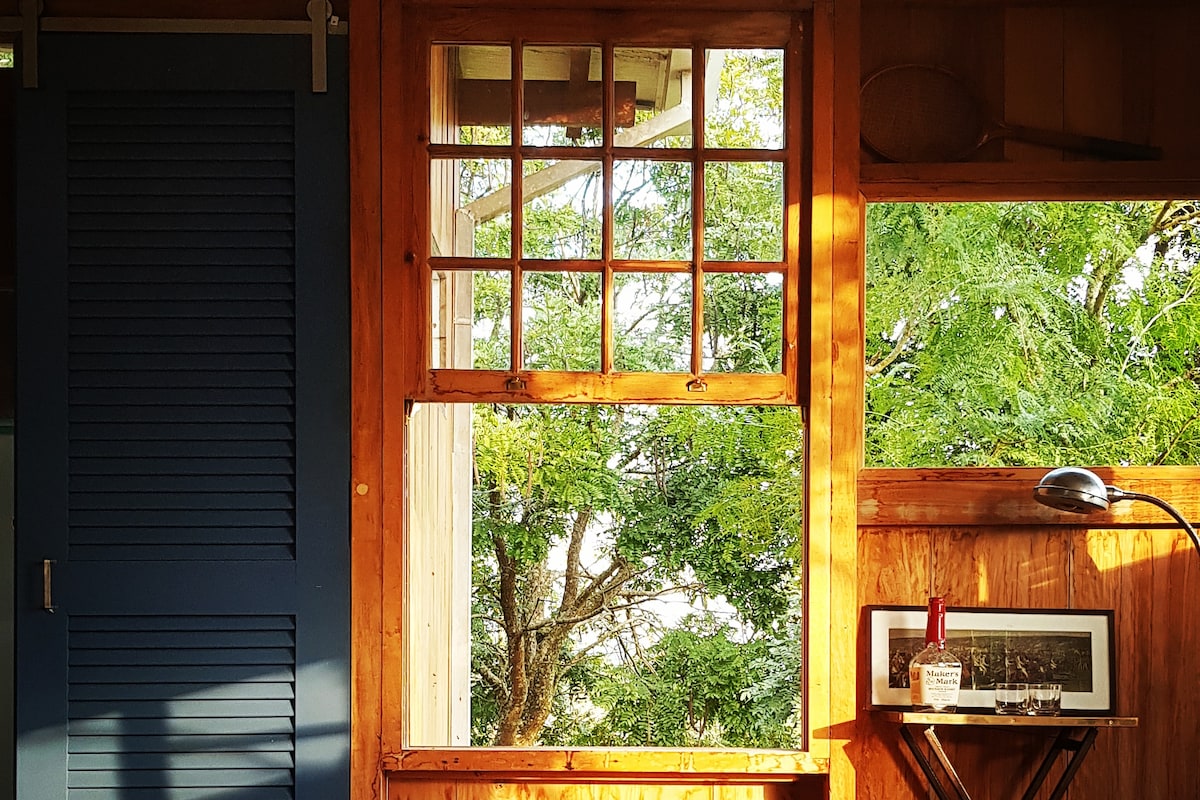 A wooden interior is illuminated by natural light filtering through a large, multi-pane window. The view reveals lush greenery outside, while a small table holds a framed photo and a bottle. A blue door adds a touch of color to the warm wood tones.