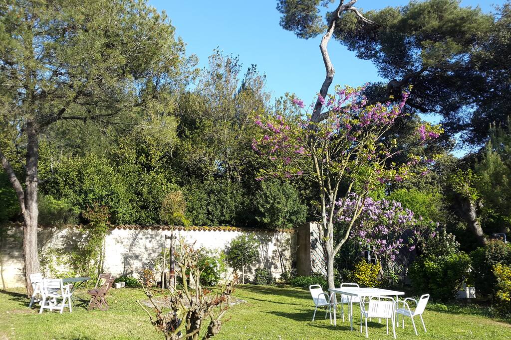 Le jardin