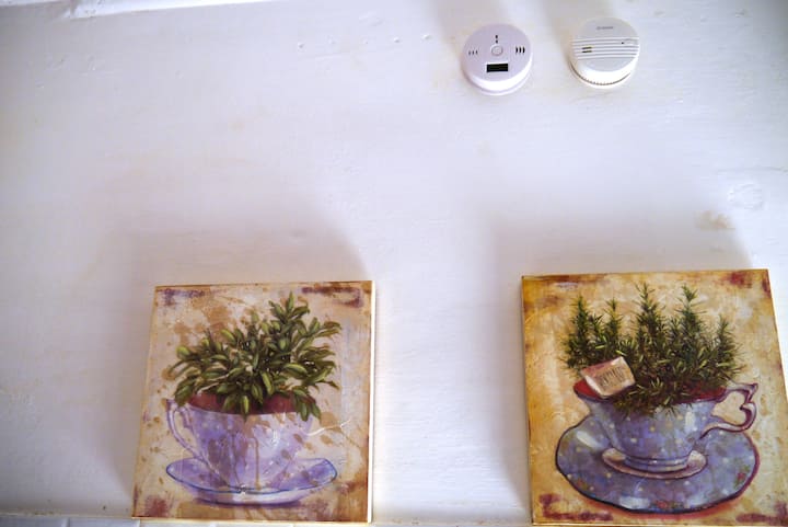 烟雾一氧化碳探测器-一氧化碳和烟雾探测器