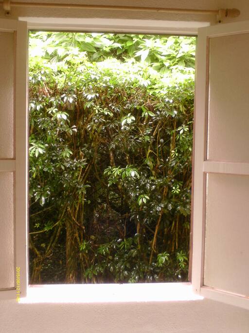 Vista da janela da Sala