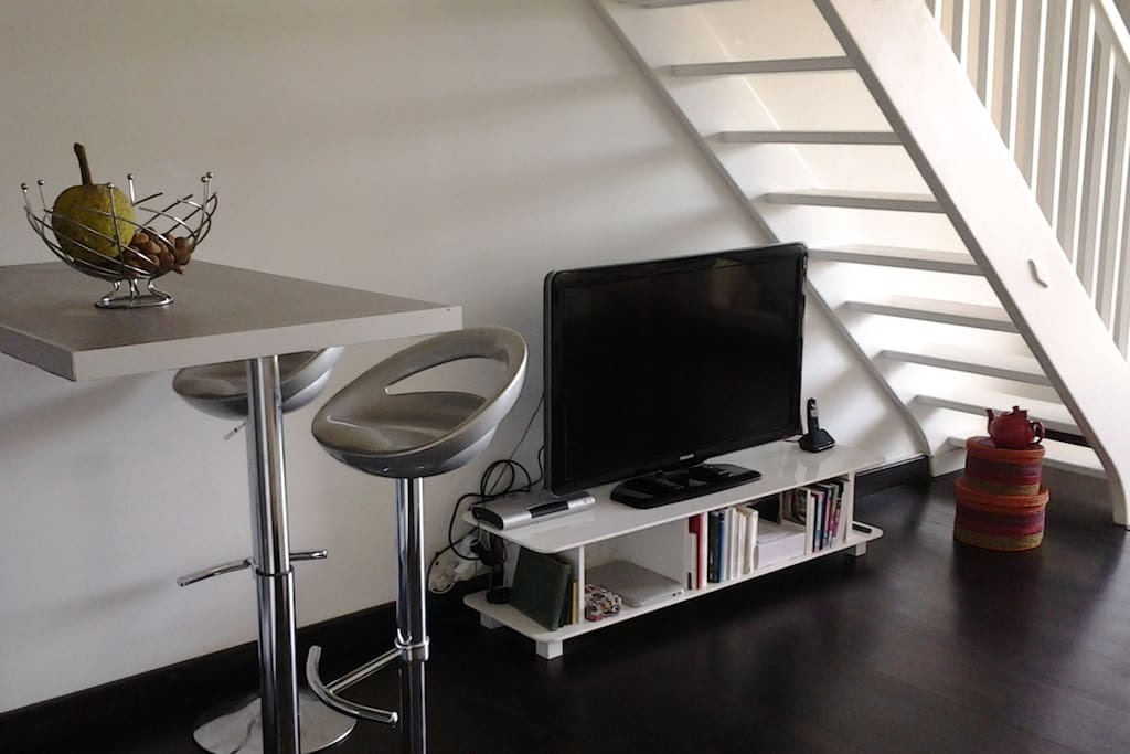 Télévision grand écran