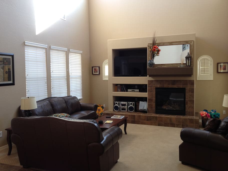 Living Area with TV, Blue Ray/DVD Player, 5 Disc CD Player and Fireplace