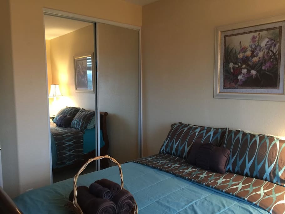 Tall body viewing mirrors on Closet Door
