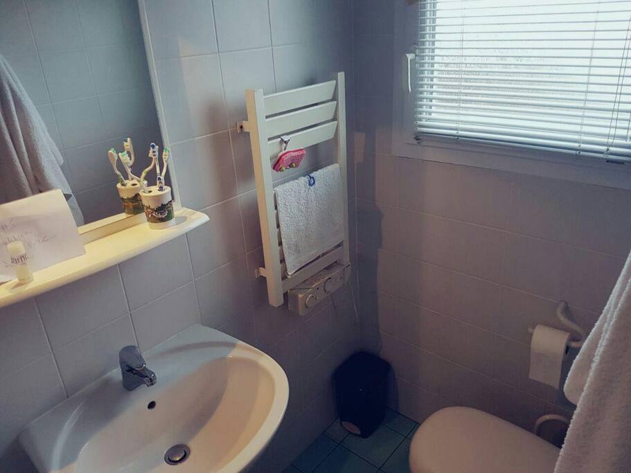 Salle de bain + toilettes