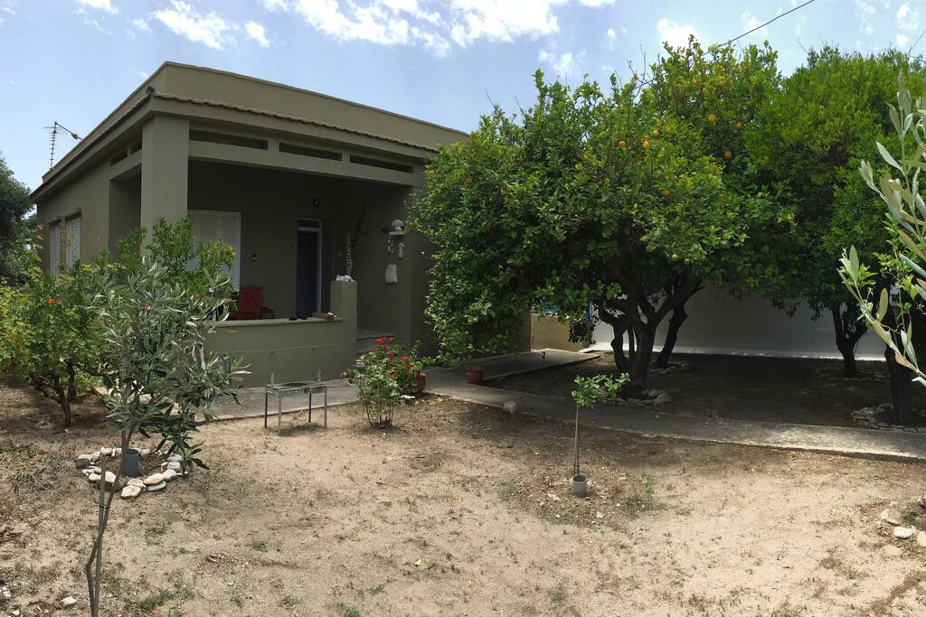 Welcome to your holiday home! Lemon tree outside
