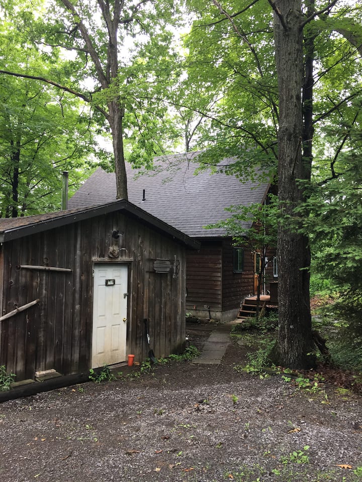 Beautiful Lakefront Cottage Cabins for Rent in Godfrey, Ontario, Canada