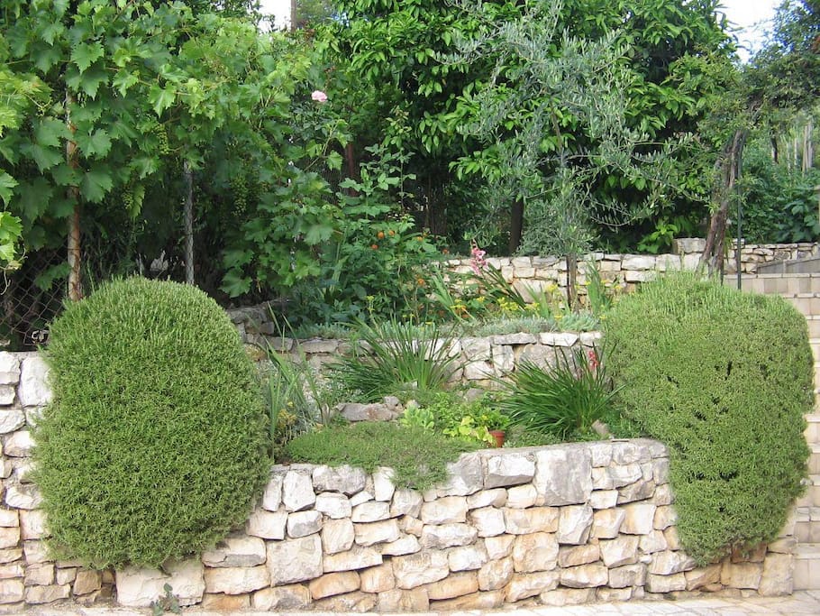 courtyard