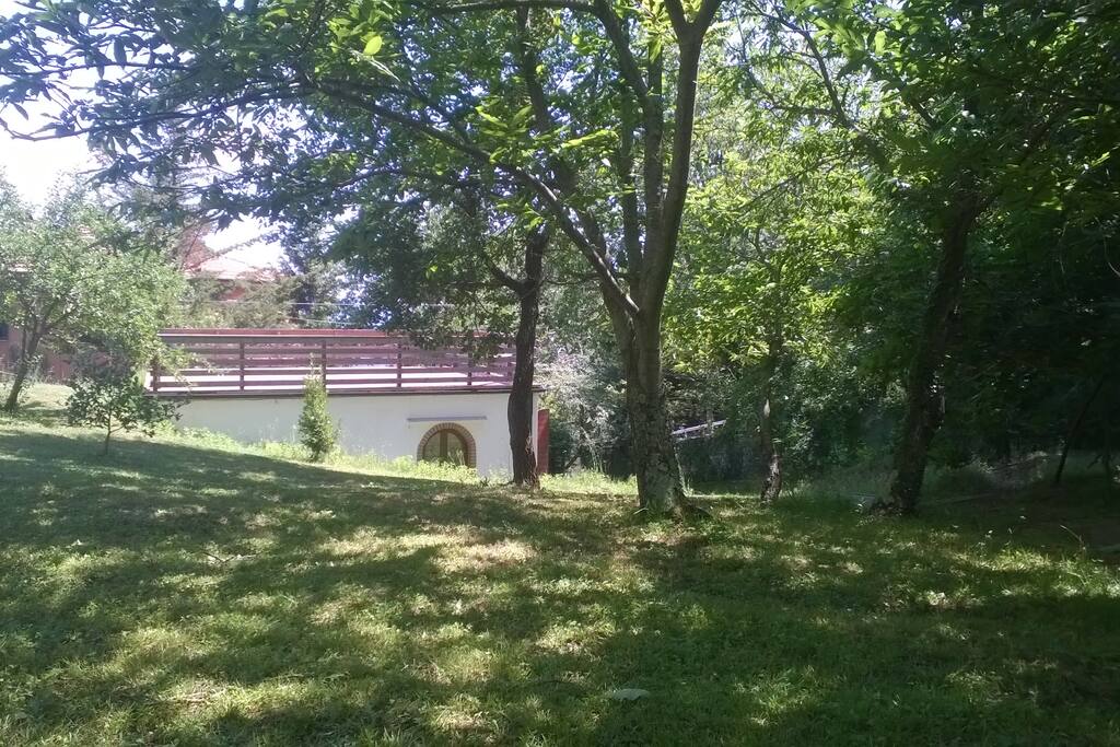 La terrazza vista dal
bosco