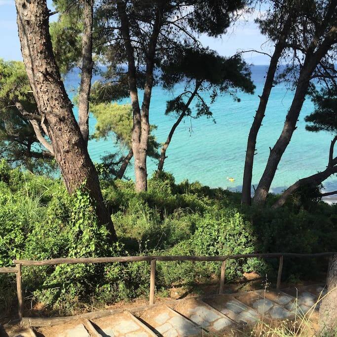 path to the beach