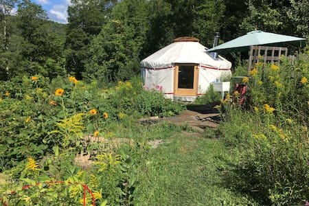 4 season Upper Yurt Stay on a VT Small Homestead
