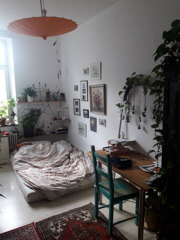 Shared room in central Freiburg location