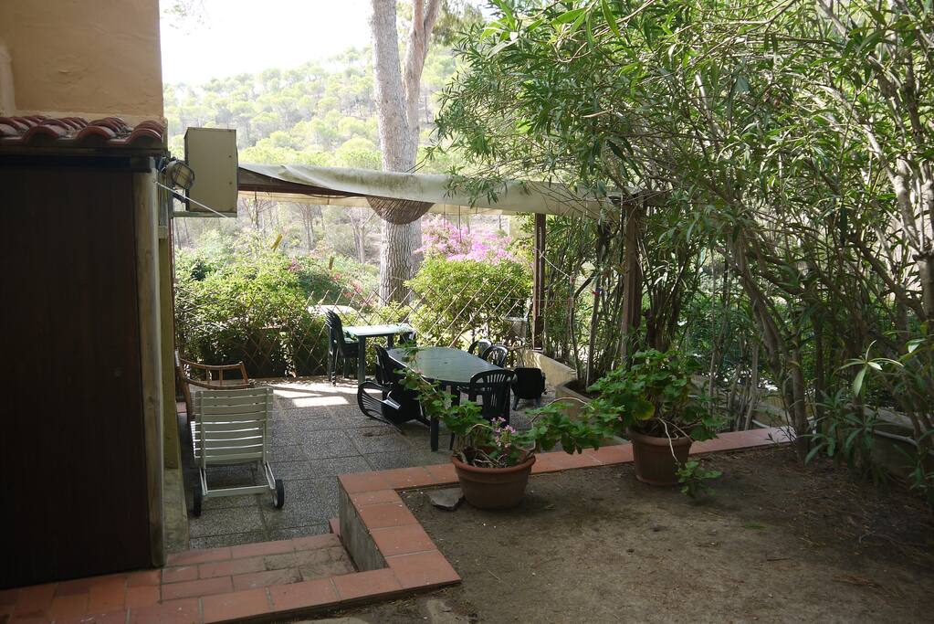 Giardino