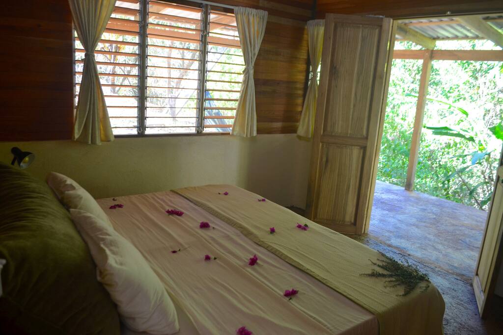 View from the bedroom