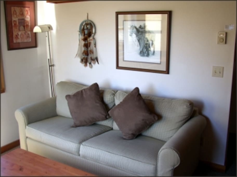 Sofa Sleeper in Living Room