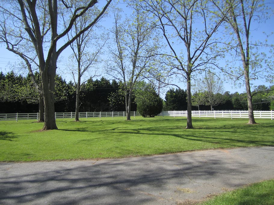 Front yard